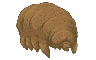 Tardigrade - featured image
