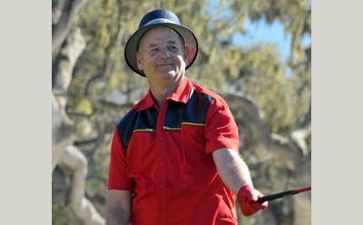 Bill Murray golfing